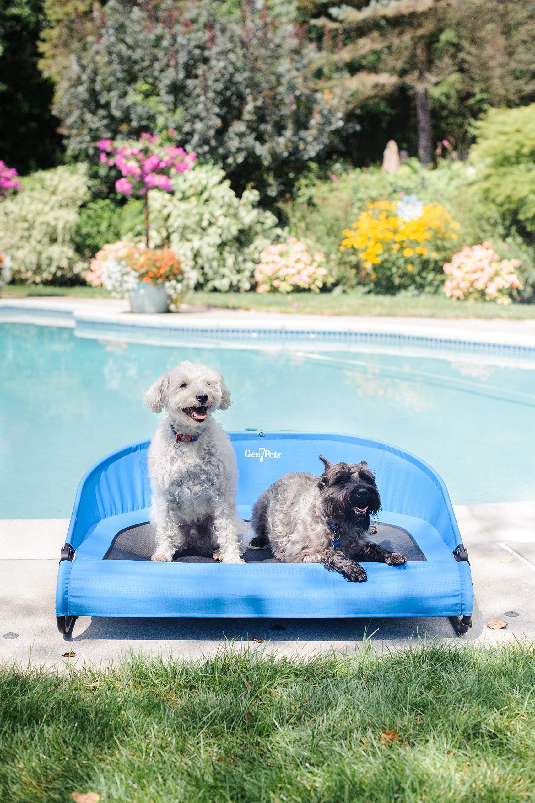 Gen7Pets Trailblazer Cool-Air Elevated Dog Bed - Large Size for Medium to Large Dogs - Perfect for Outdoor Adventures, Camping & Hot Weather Use