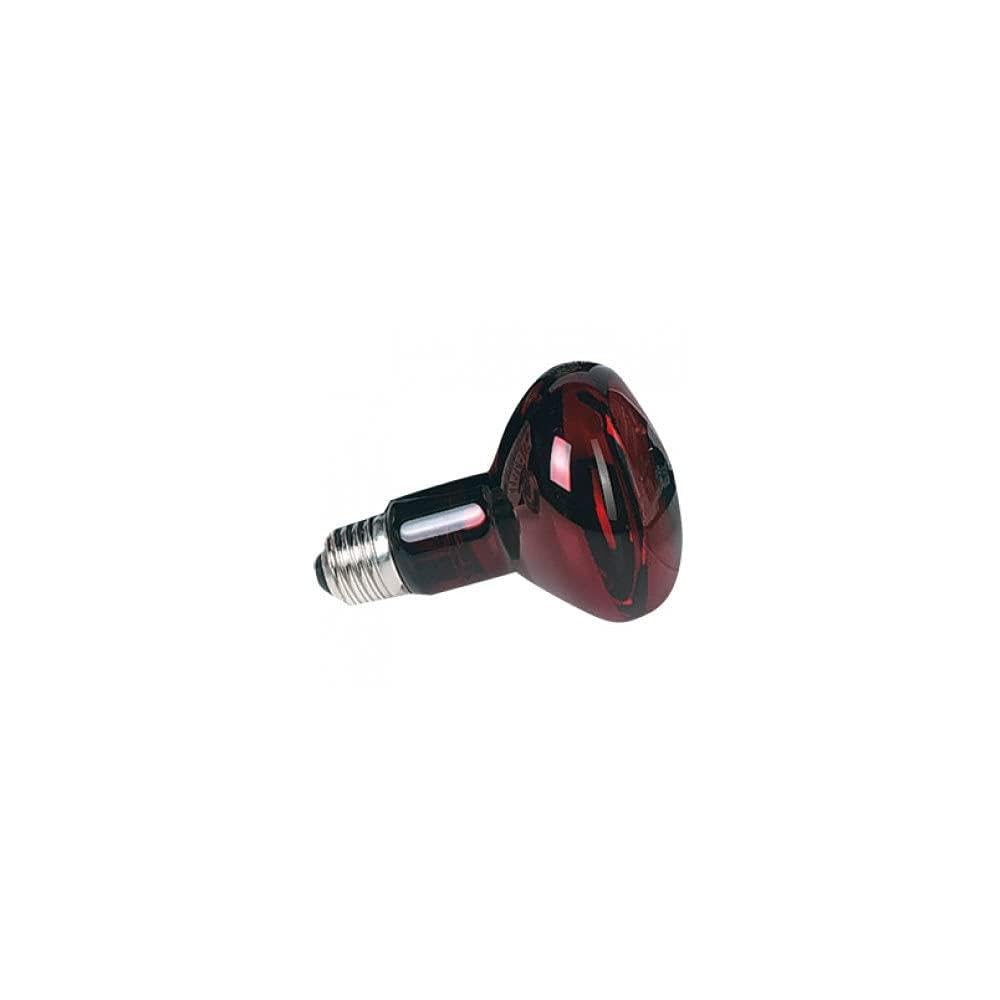 Zoo Med Nocturnal Infrared Incandescent Heat Lamp 75W - Reptile Terrarium Night Heating Bulb for Snakes, Lizards & Amphibians - Perfect for Nocturnal Pet Habitat Temperature Control