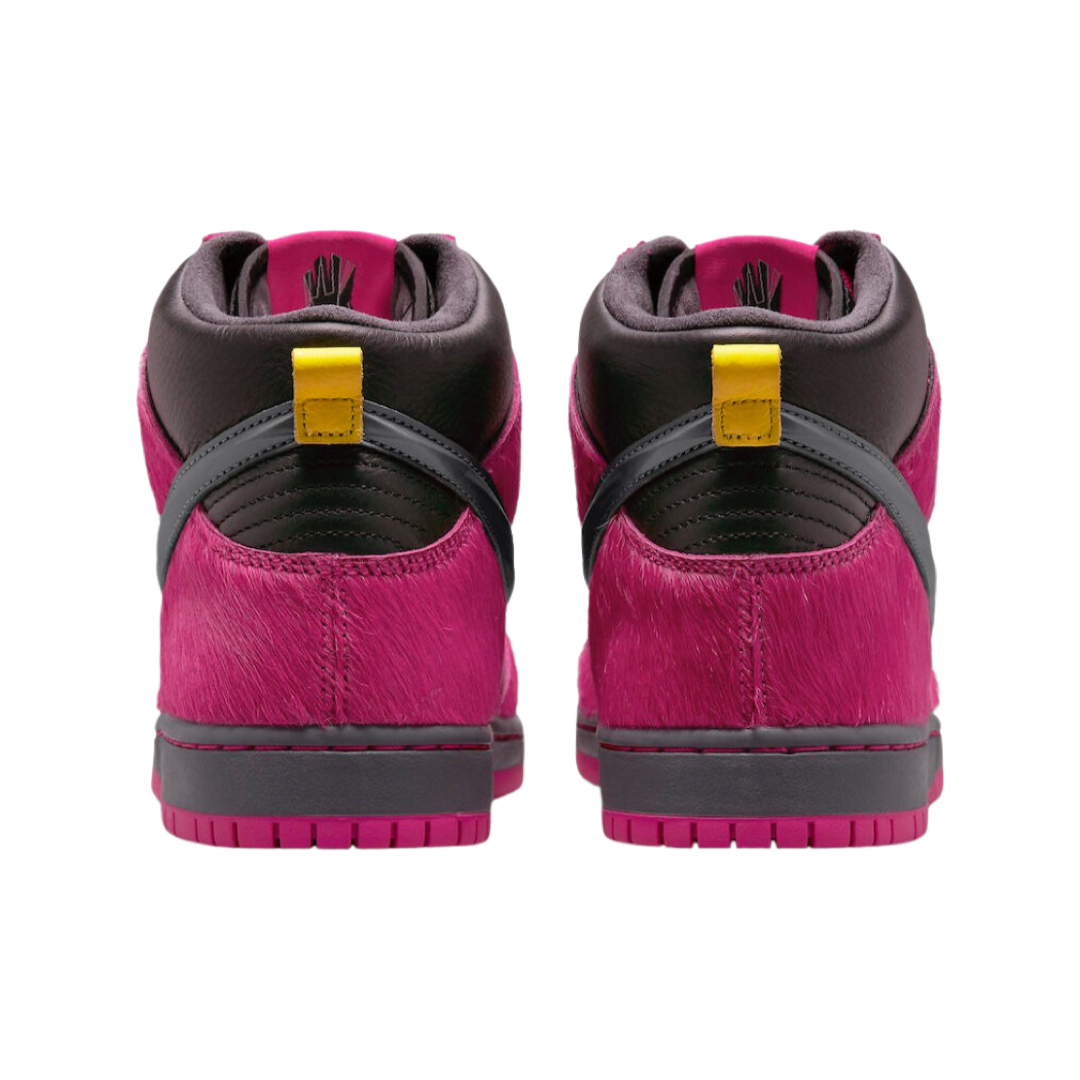 Nike SB Dunk High QS 