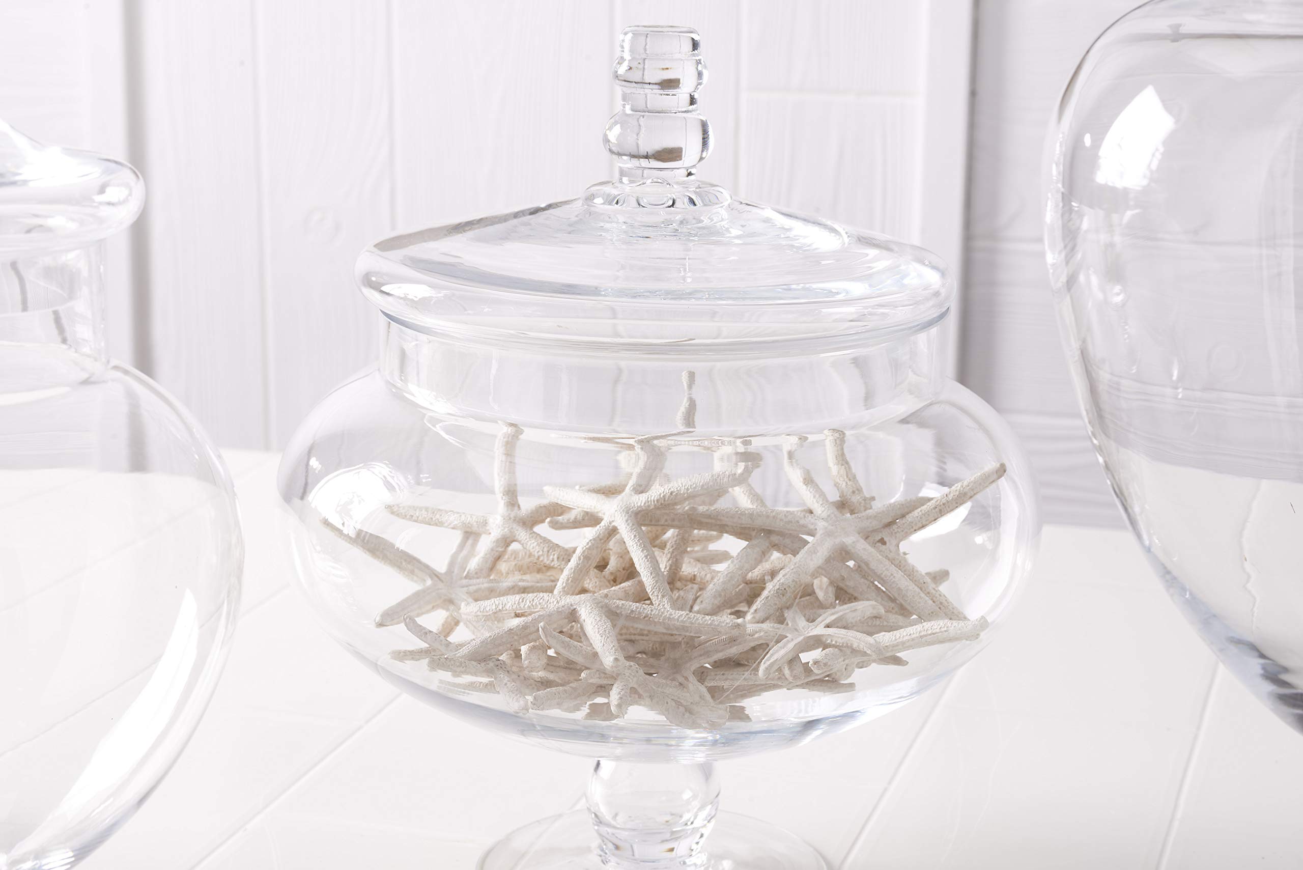 K&K Interiors 5-Piece Glass Storage Jars with Airtight Lids - Clear Kitchen Canisters for Flour, Sugar, Coffee & Pantry Organization - Perfect for Home, Office & Gift Giving