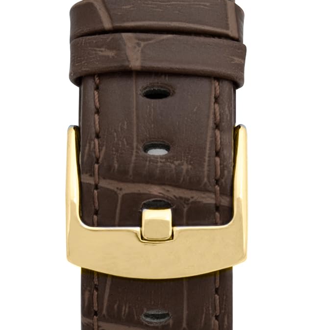 2 - Brown / Gold Buckle