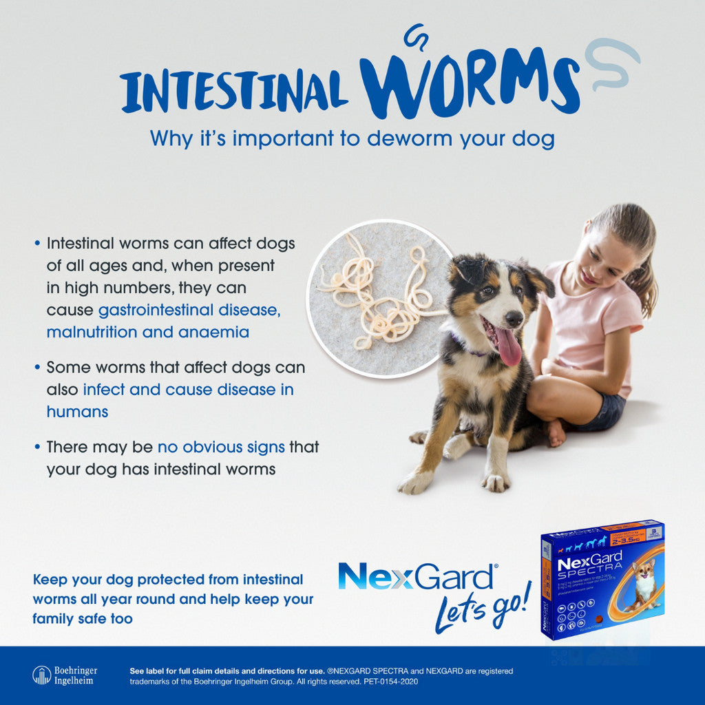 NexGard Spectra Chewable Tablets for Dogs - 3 Month Supply, Flea & Tick Prevention, Heartworm Protection - Beef Flavor for All Breed Sizes | Ideal for Outdoor Adventures & Home Protection