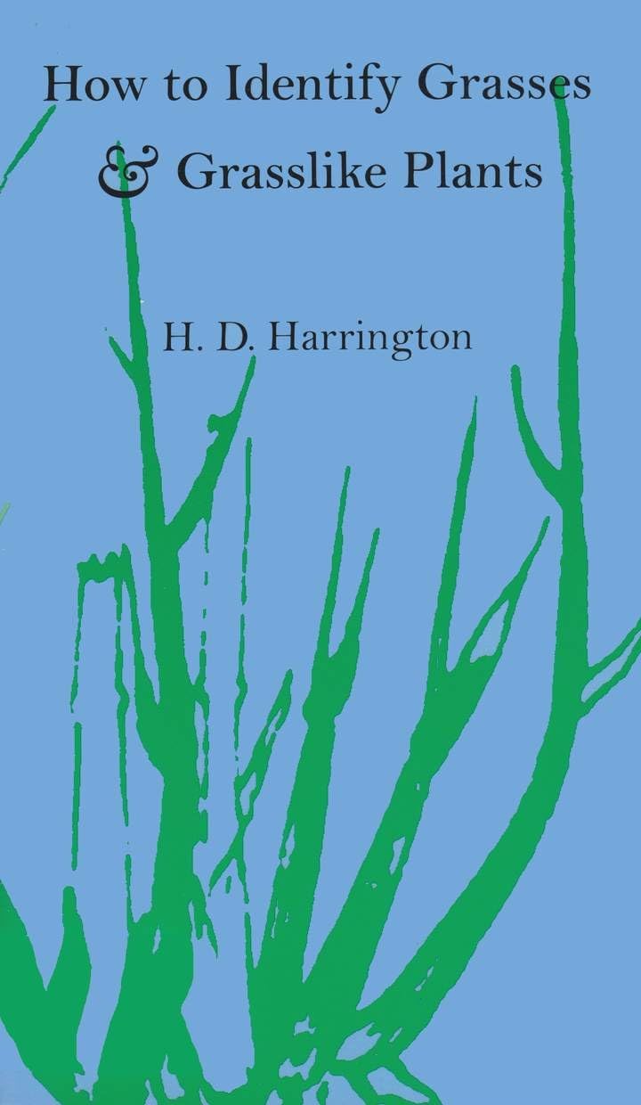 How to Identify Grasses, Sedges and Rushes - Grasslike Plant Identification Guide for Hikers, Gardeners & Botanists