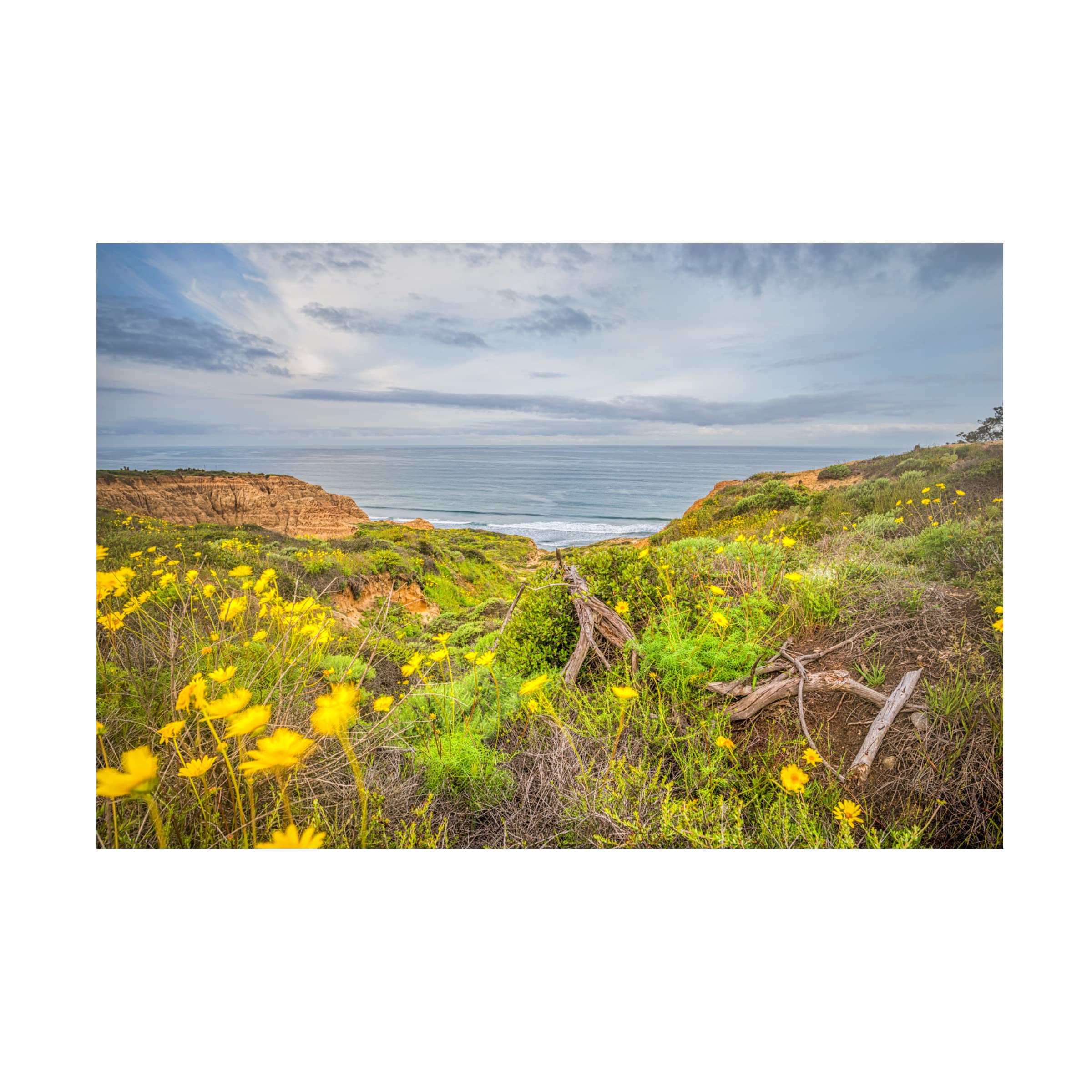 Joseph S Giacalone 'Nature's Magic at Torrey Pines' Canvas Wall Art Print - 30x47 Inches - Stunning Landscape Painting for Living Room, Bedroom & Office Decor