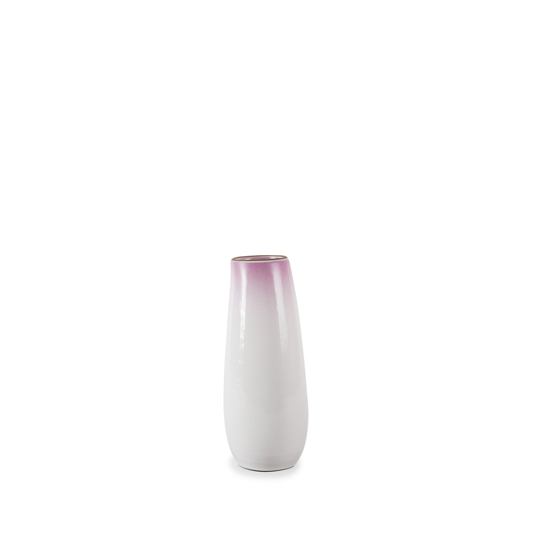 Wildflower Gradient Sprout Vase - Elegant Glass Planter for Home Decor, Office Desk & Wedding Centerpieces