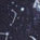 Cherished Constellations Tie Neck Top - Elegant Women's Blouse for Date Night & Special Occasions