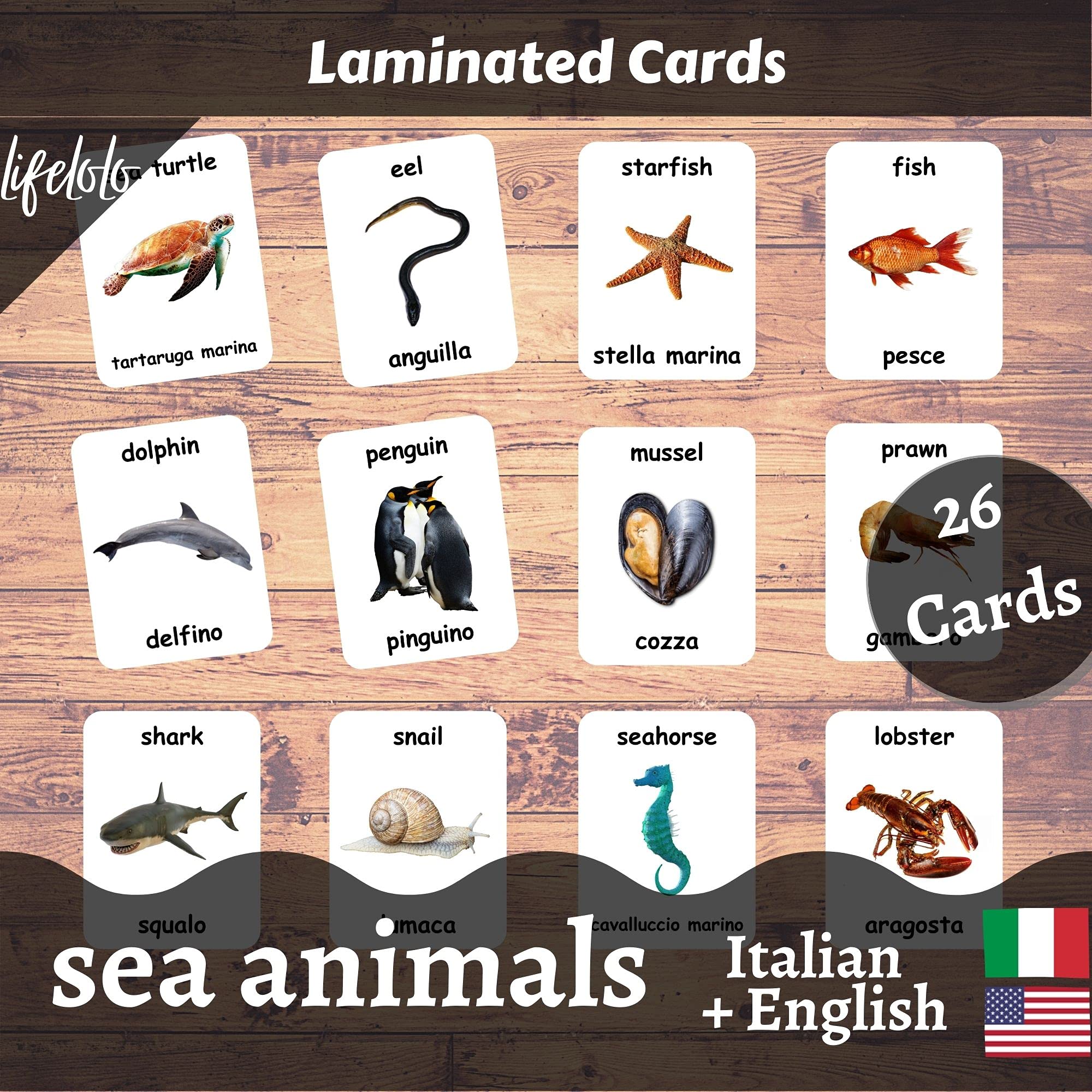 Sea Animals Flash Cards - 26 Laminated Ocean & Water Animal Flashcards for Homeschooling | Bilingual English + Italian Learning Cards | Educational Toys for Kids Classroom & Home Use