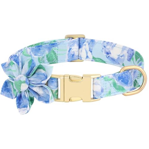 A-Blue Flower