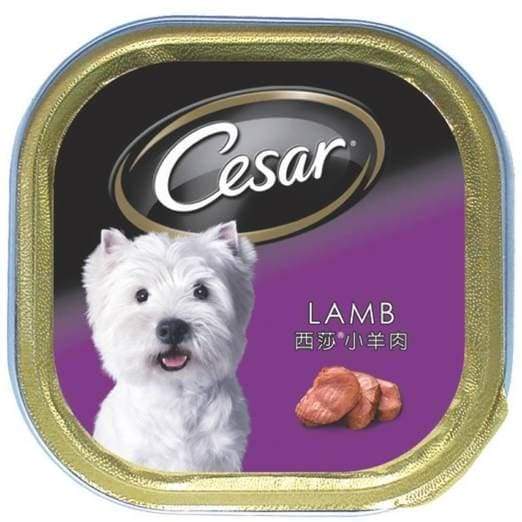 Premium Cesar Lamb Pate Tray Dog Food - 100g Grain-Free Wet Food for Small & Medium Dogs | Perfect for Mealtime, Training Rewards & Travel Snacks