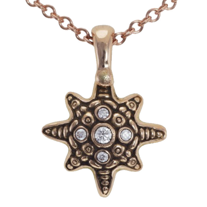 Alex Sepkus Starfish Pendant Necklace - 14K Gold Plated Sterling Silver Jewelry for Women, Elegant Beach-Themed Gift for Her | Perfect for Summer Vacations, Beach Weddings & Coastal Fashion