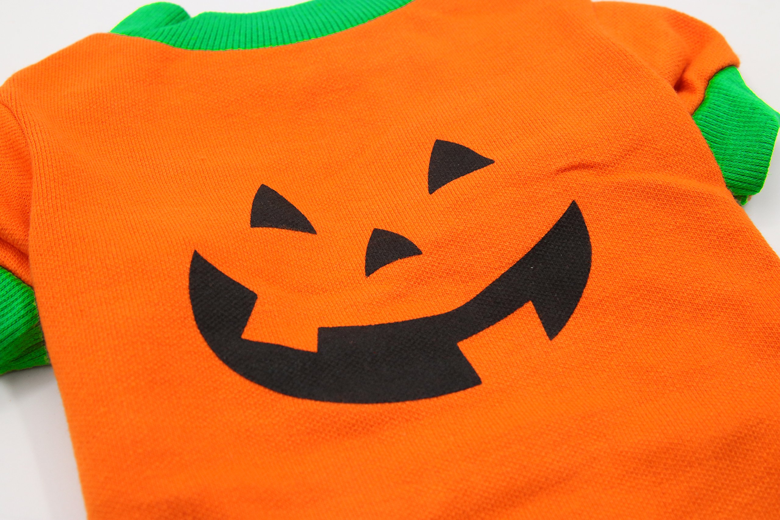 DroolingDog Halloween Dog T-Shirt - Pumpkin Head Costume for Small & Medium Dogs, Green | Fun Pet Costume for Halloween Parties & Photo Shoots