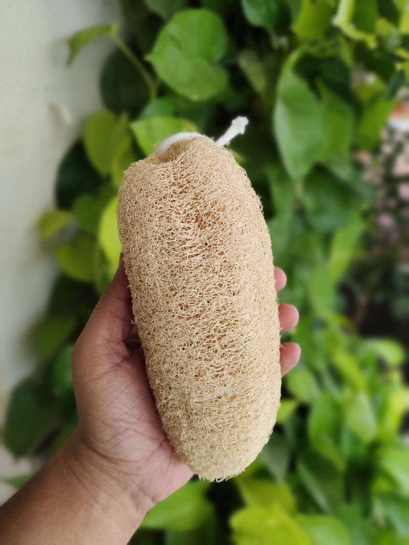 Organic Body Scrubber for Exfoliating & Smooth Skin - Natural Bamboo Fiber Bath Scrubber (Pack of 5) - Perfect for Shower, Spa & Self-Care Routine