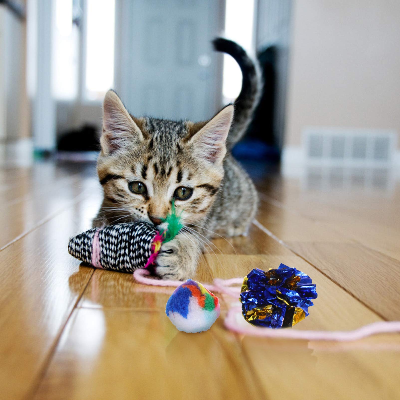 Balacoo 14pcs Kitten Toys Set - Interactive Cat Teaser, Chewing Catcher & Teething Toys for Kittens | Perfect for Playtime, Training & Dental Health