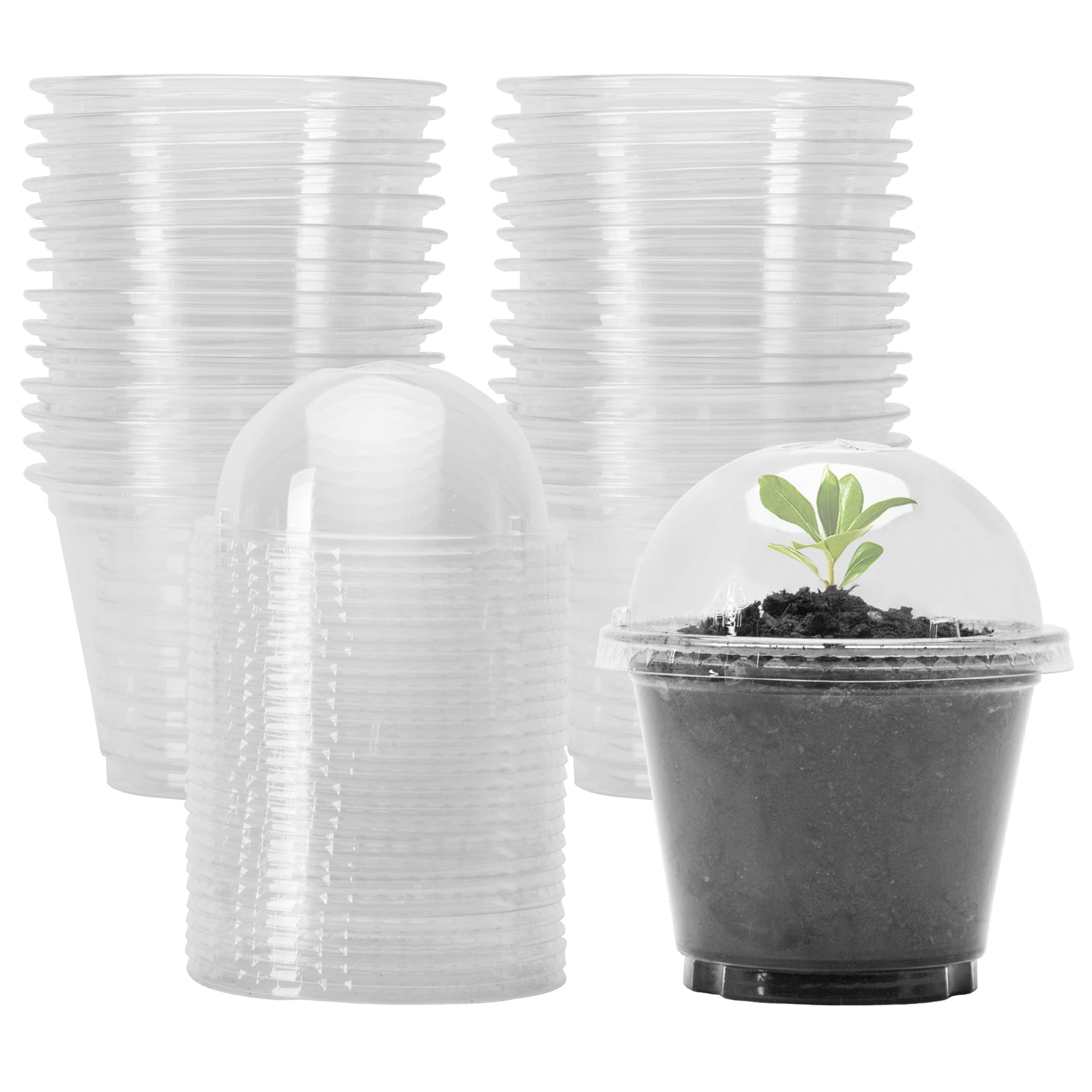 30 Pack Clear Plastic Cupcake Plant Nursery Pots with Humidity Domes - Small Gardening Containers for Seedlings, Vegetables, Succulents & Cuttings - Ideal for Indoor Herb Gardens, Greenhouse Propagation & Home Gardening Projects