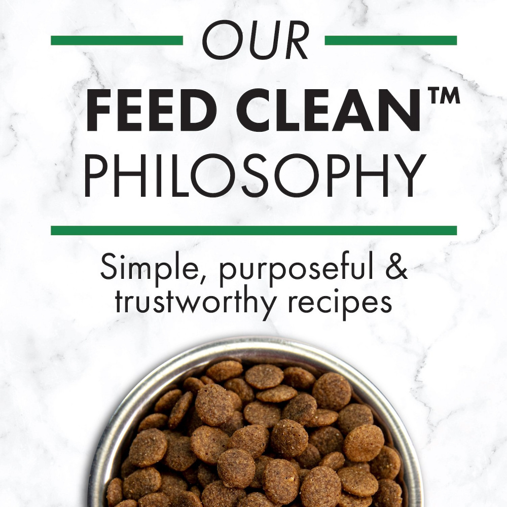 Nutro Wholesome Essentials Large Breed Puppy Dry Dog Food - Pasture Raised Lamb & Rice Recipe for Healthy Growth | Perfect for Active Large Breed Puppies at Home or Outdoor Adventures