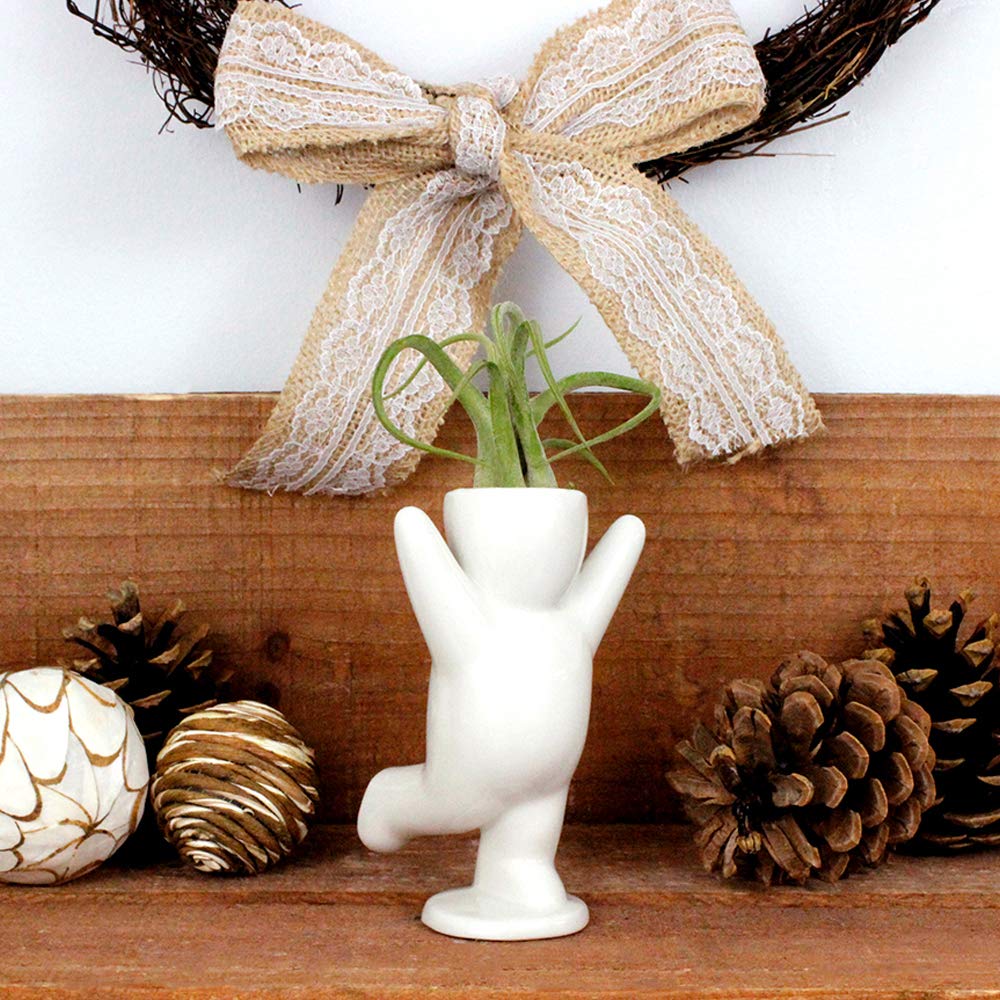 Happy Person Shaped Ceramic Planter (3.25 Inch) with Live Tillandsia Air Plant - White Indoor Air Plant Holder for Home, Office Desk & Shelf Decor - Perfect for Gifts, Zen Gardens & Boho Home Decor