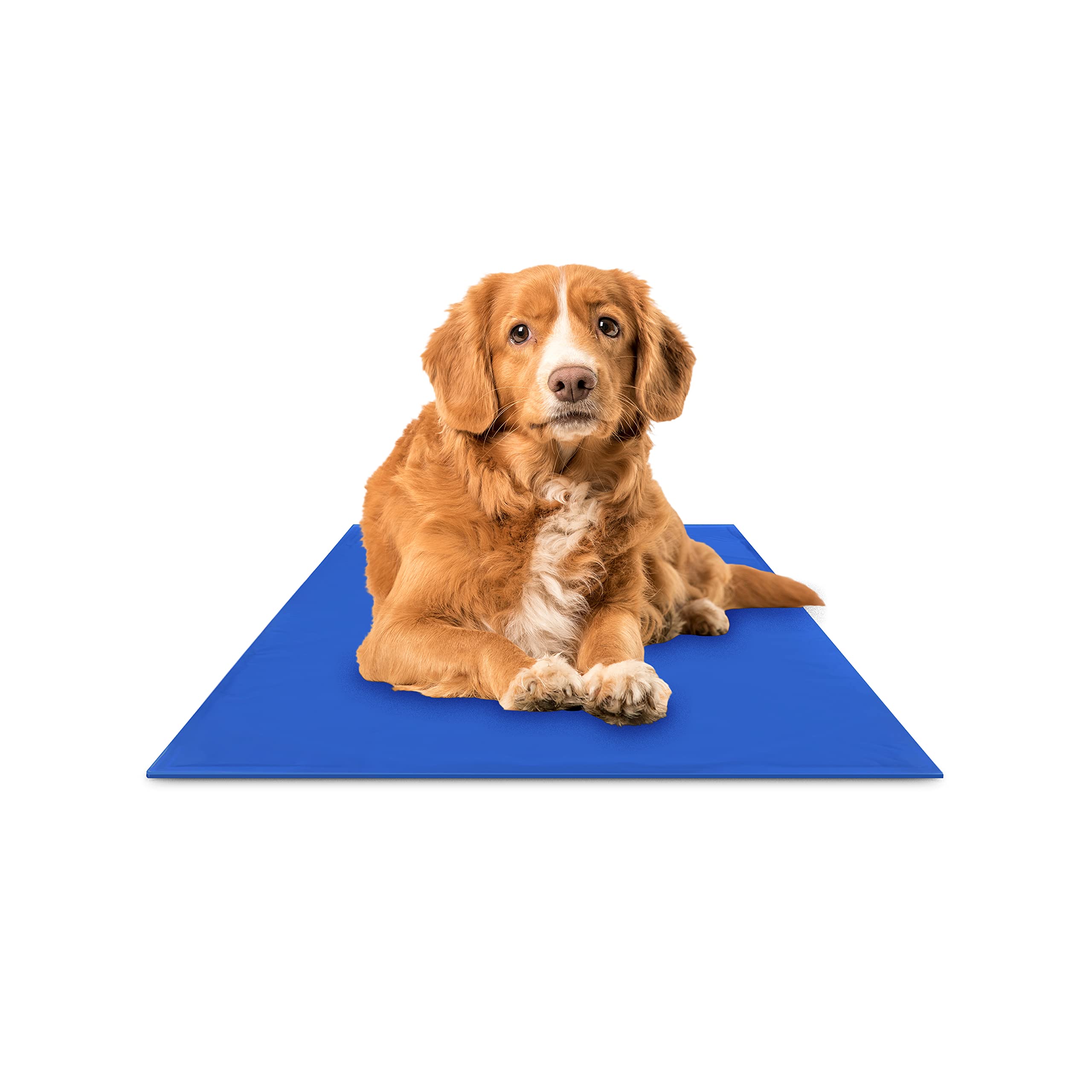Chillz Dog Cooling Mat for Medium Dogs & Cats - Self-Cooling Pet Pad with Non-Toxic Gel - No Water or Electricity Needed - 19.5