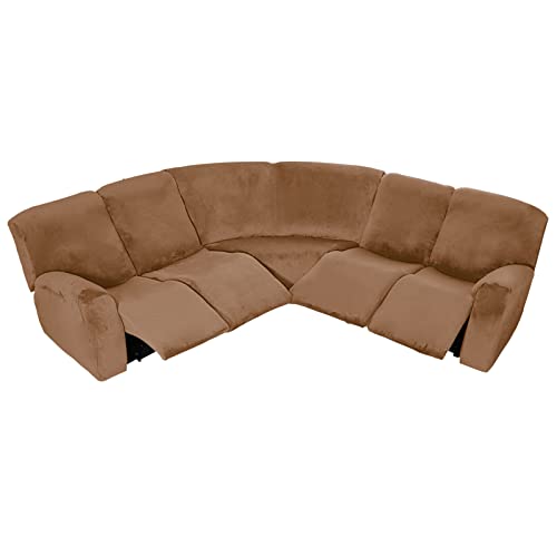 Velvet Camel
