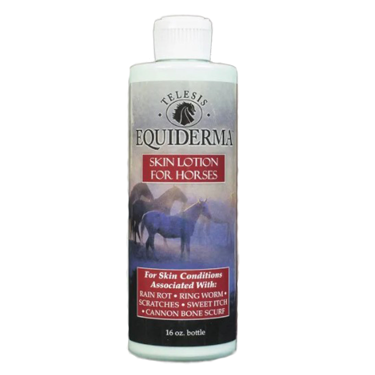 Equiderma Skin Lotion for Horses - Anti-Itch & Moisturizing Treatment for Dry, Flaky Skin | Perfect for Grooming, Healing & Daily Care