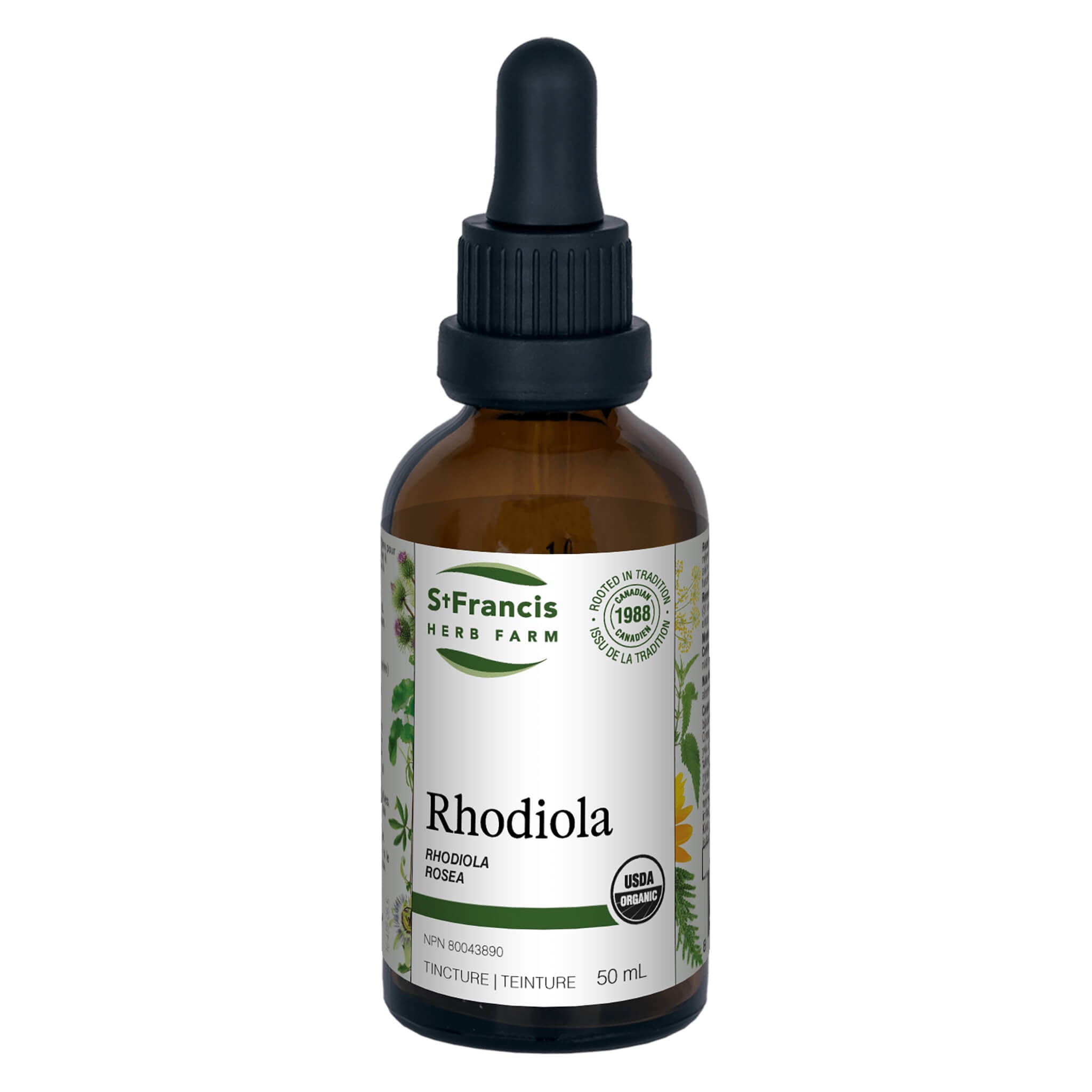 Premium Rhodiola Rosea Root Extract Supplement - Natural Stress Relief & Energy Booster for Focus, Mood & Immune Support - Perfect for Work, Study & Daily Wellness