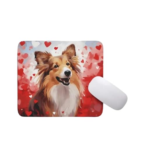 Shetland Sheepdog