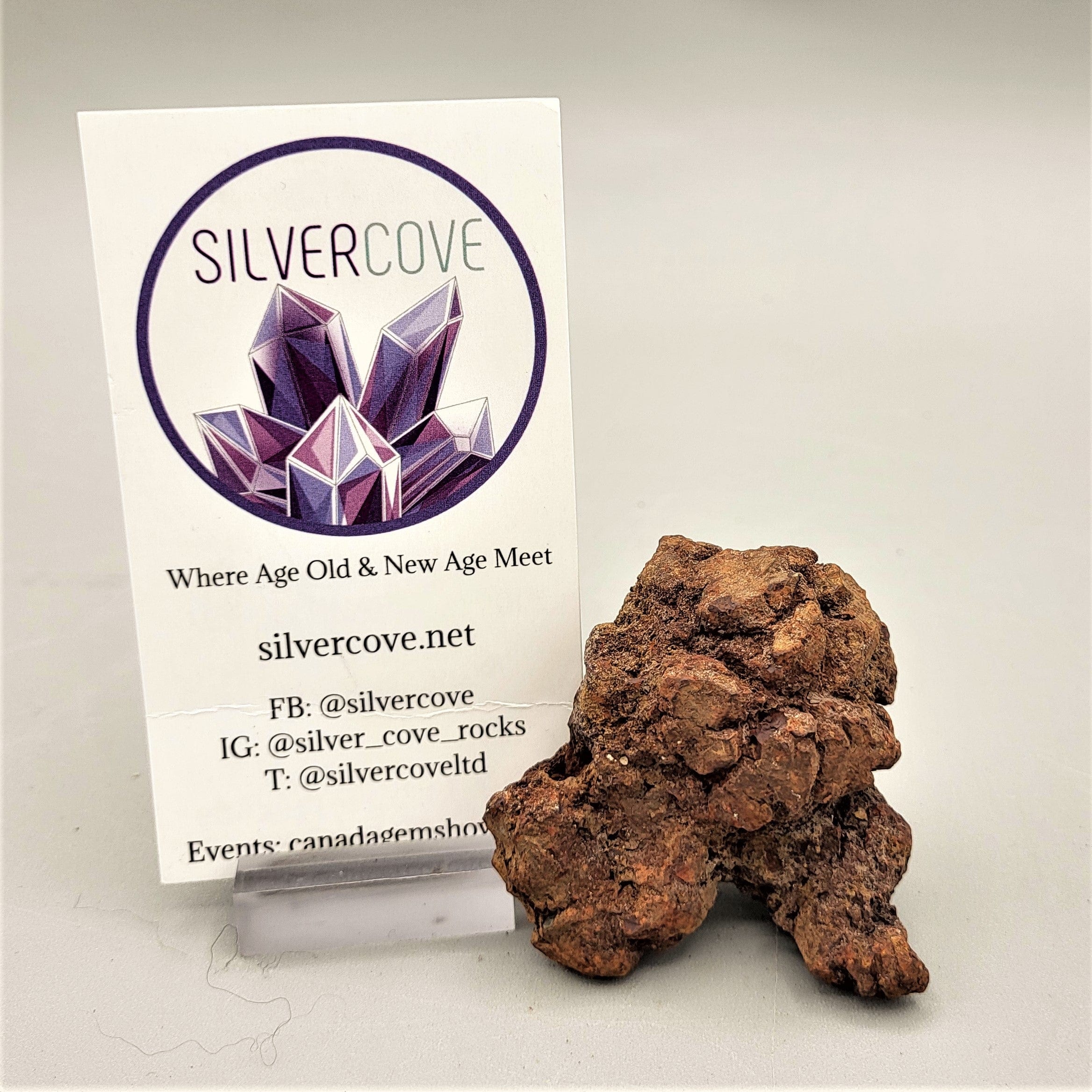 Authentic Coprolite Fossil Specimen - Dinosaur Poop Fossil for Collectors, Education & Home Decor | Perfect for Science Enthusiasts & Paleontology Gifts