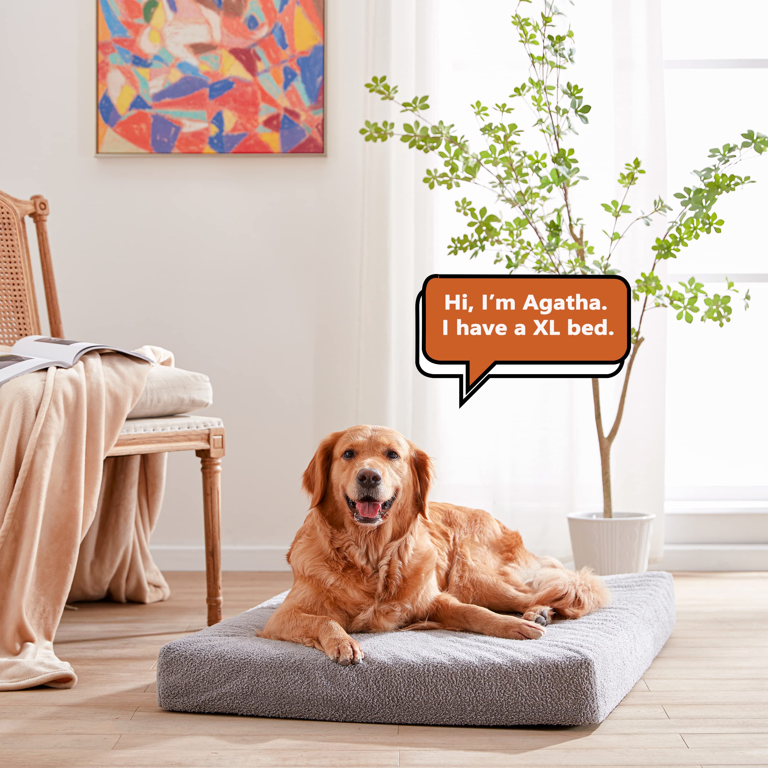 Orthopedic Memory Foam Dog Bed for Large Dogs - 41