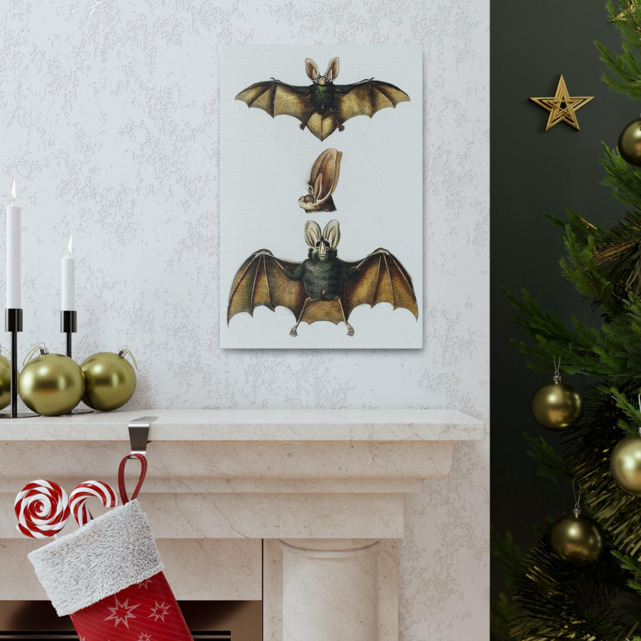Plecotus Bat Art Print by Charles Dessalines - Stunning Canvas Wall Decor for Home, Office & Gifts | Wildlife Illustration | Nature-Inspired Decor