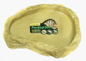 Exo Terra Small Reptile Feeding Dish - Durable Plastic Food Bowl for Lizards, Snakes, Turtles - Perfect for Terrariums & Pet Habitat Enclosures