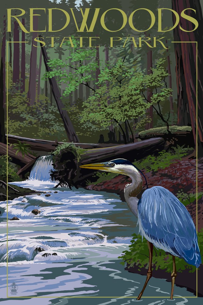 Redwoods State Park Heron and Waterfall Wall Art - 16x24 Gallery Quality Metal Print, Aluminum Home Decor for Living Room, Bedroom & Office