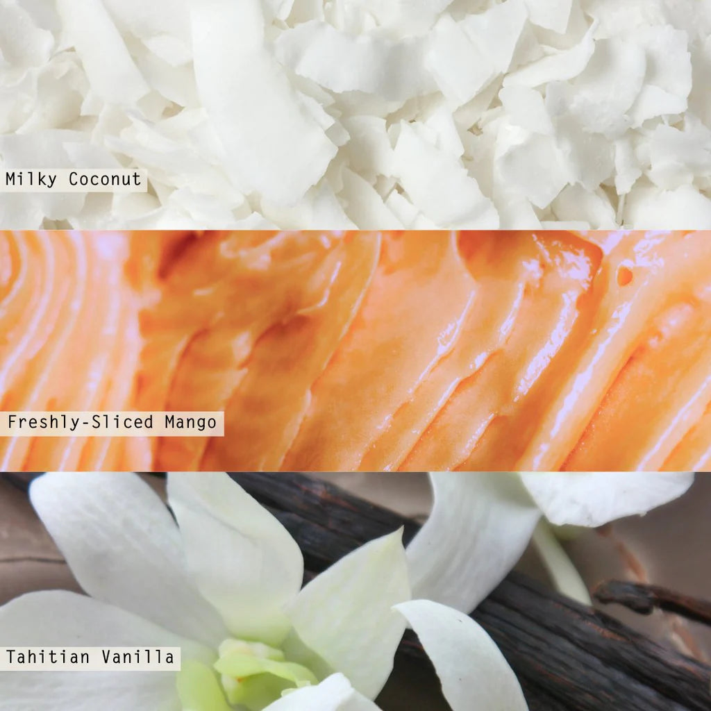 Organic Coconut Milk Scented Baltic Candle - Handmade Soy Wax Candle for Relaxation, Aromatherapy & Home Decor | Perfect for Bedroom, Bathroom & Living Room