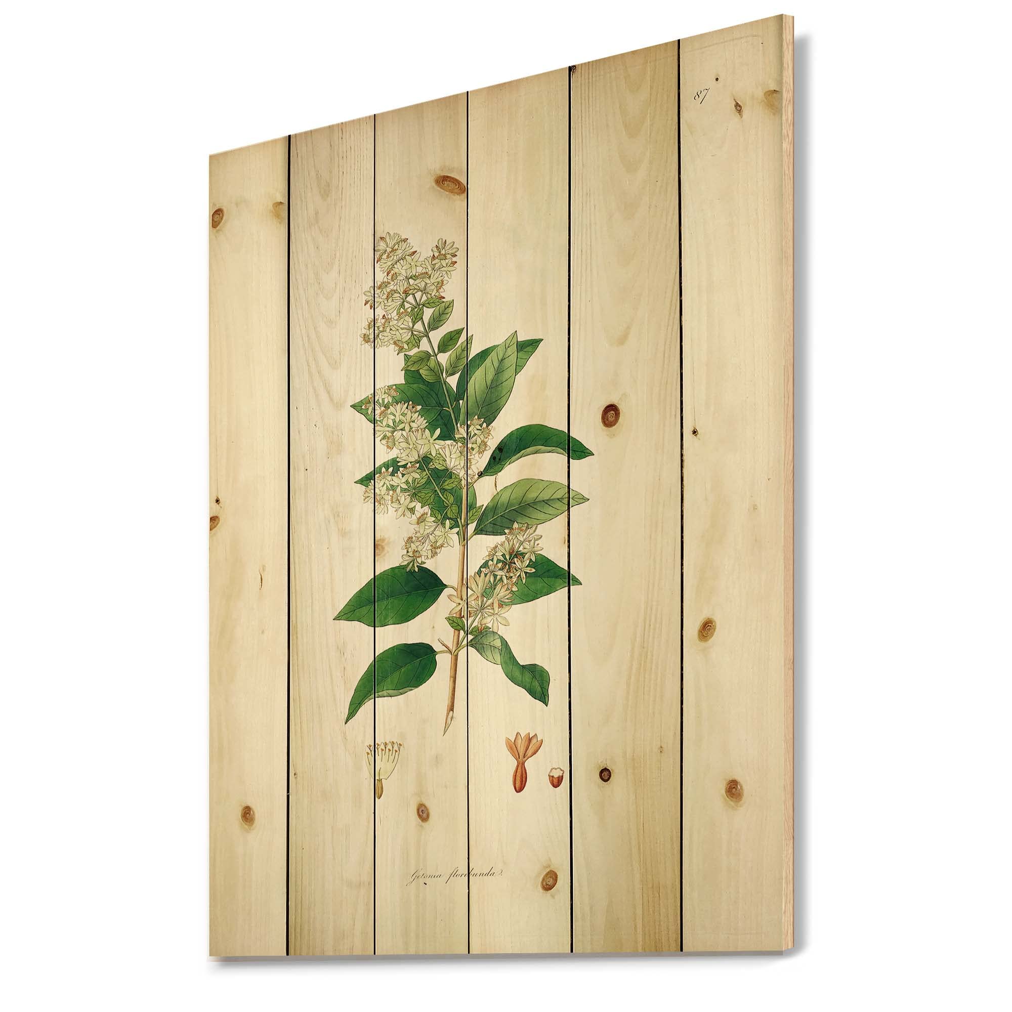 Vintage Botanicals XVII Farmhouse Wood Wall Decor - Green Floral Wall Art Panels Printed on Natural Pine Wood - Perfect for Living Room, Bedroom, or Office Decor