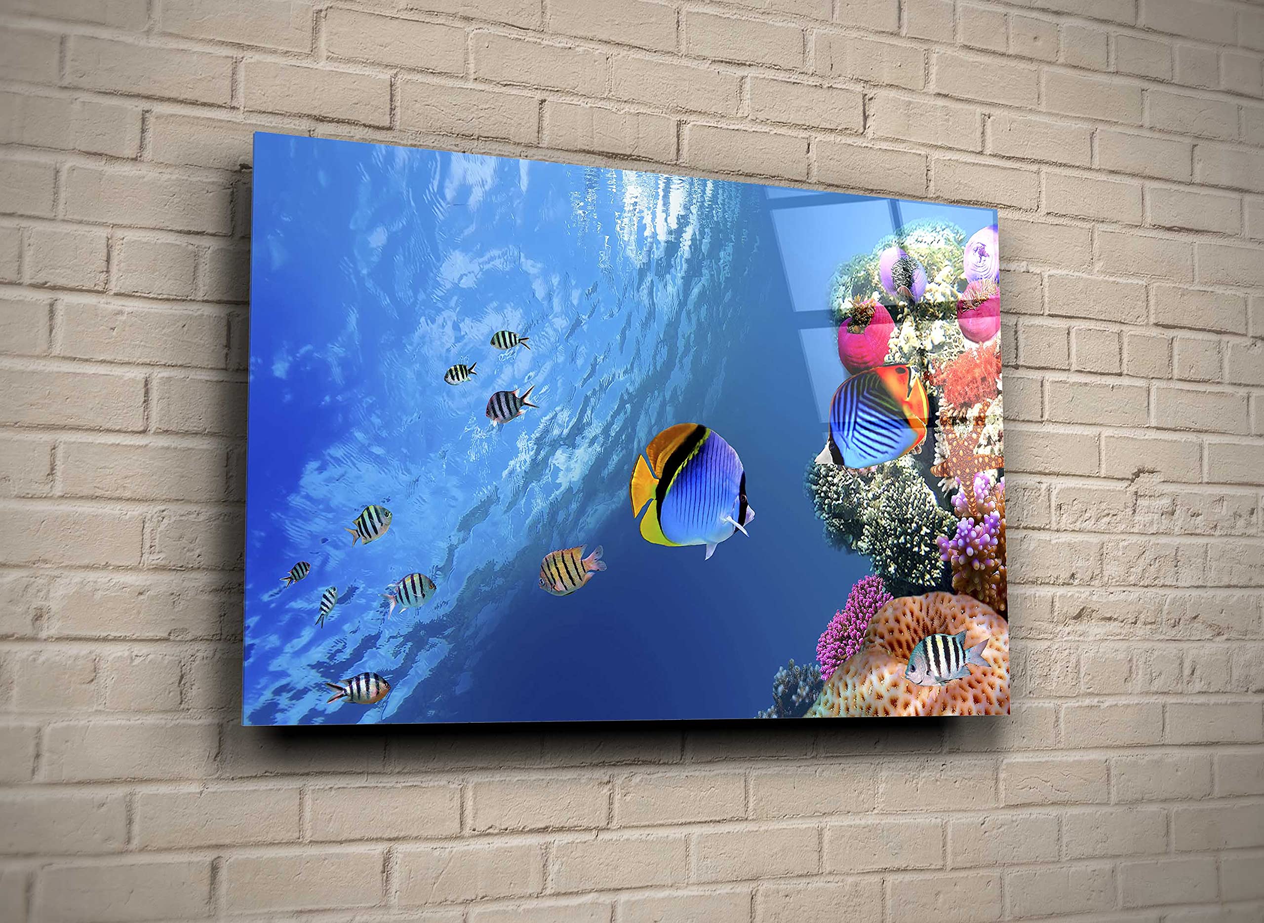 Vibrant Marine Life Coral Reef Fish Glass Wall Art - Underwater Sea Decor for Home, Office & Nautical Gifts | Perfect for Beach House, Aquarium Lovers & Ocean-Themed Rooms