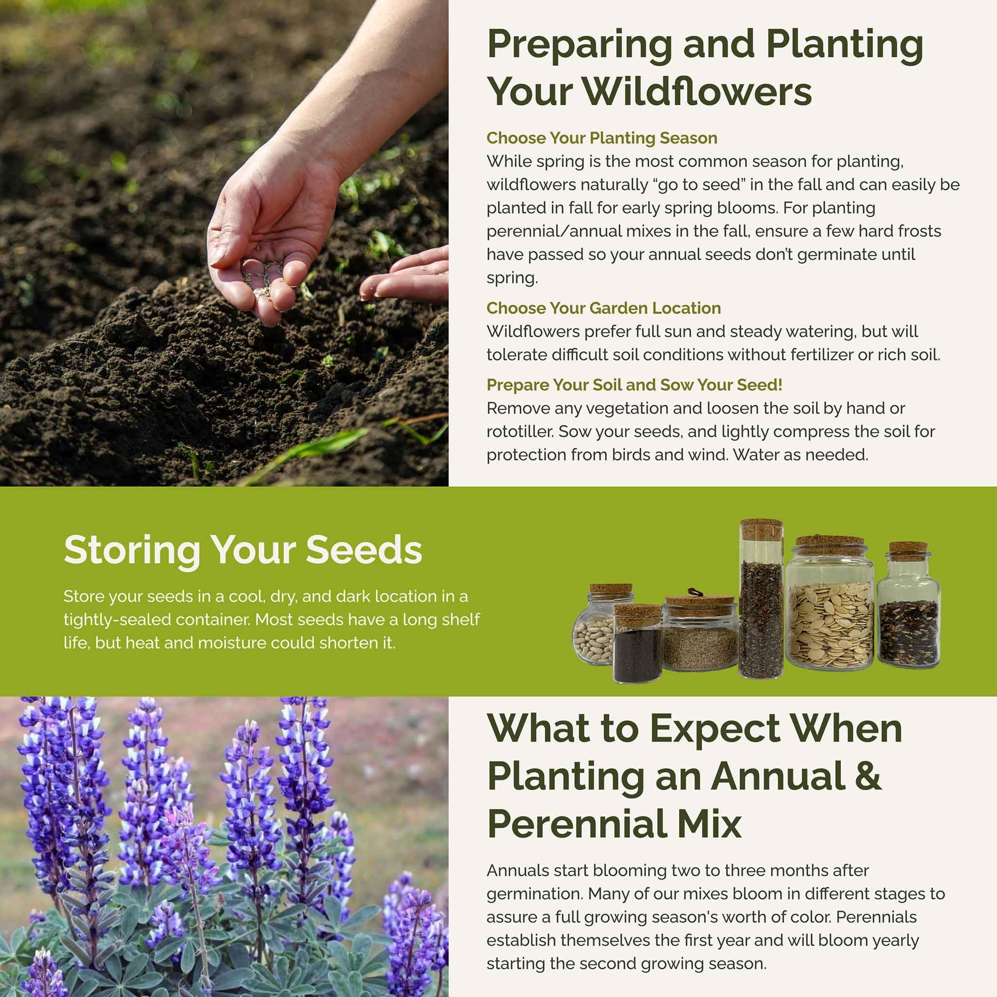 Eden Brothers North American Native Wildflower Seeds Mix - 5 lb (2,400,000+ Seeds) with Bird's Eyes & Lupine - Attracts Pollinators, Bees & Butterflies - Perfect for Spring or Fall Planting in USDA Zones 3-10 - Ideal for Gardens, Meadows & Landscaping