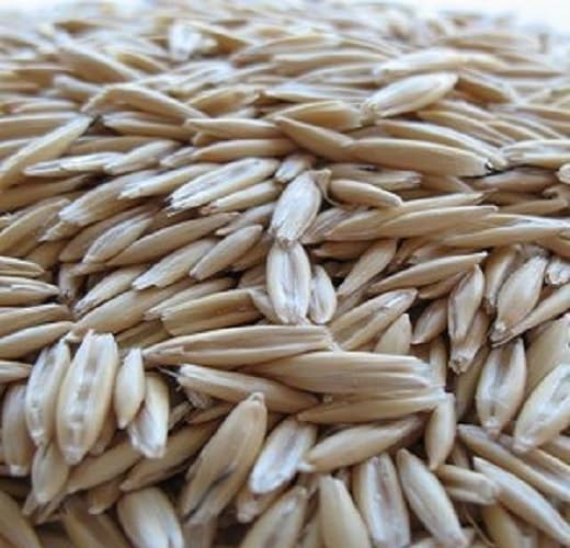 400 Heirloom Cayuse Oats Seeds - Non-GMO, Organic, High-Yield Oat Seeds for Home Gardening, Farming & Sustainable Agriculture | Perfect for Bread, Porridge & Animal Feed