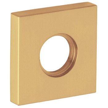 Unlacquered Brass