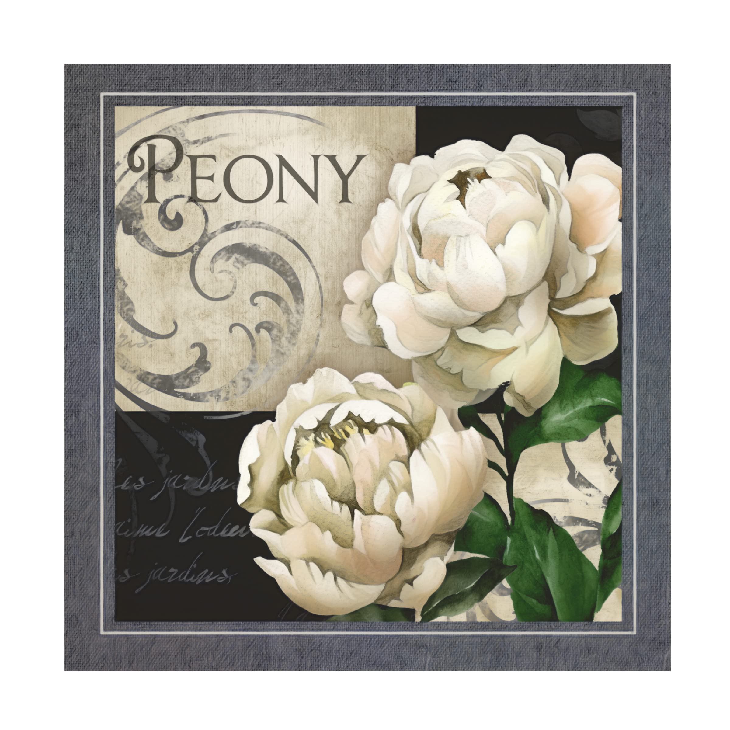 Trademark Fine Art 'Flowers on Black and White IV' Canvas Wall Art by Abby White - Modern Floral Painting for Living Room, Bedroom & Office Decor