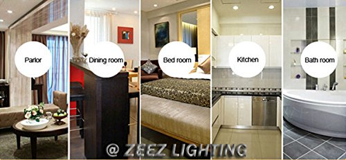 ZEEZ Lighting - 9W (OD 4.75