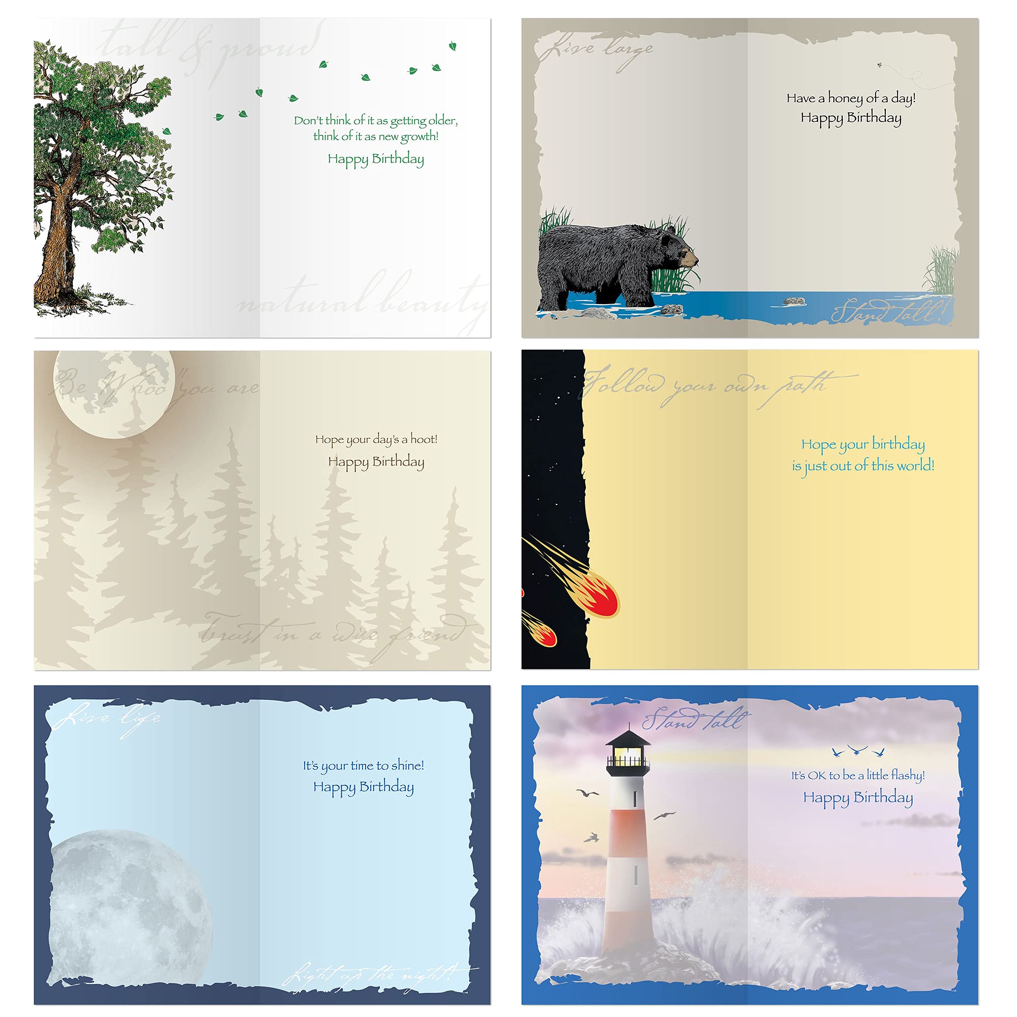 12 Unique Greeting Card Birthday Set - Bear, Cat, Dog, Horse, Hummingbird, Lake, Ladybug, Lighthouse, Moon, Owl, Solar System & Tree Designs (AMGC12-BDAY) - Perfect for Birthdays, Anniversaries & Special Occasions