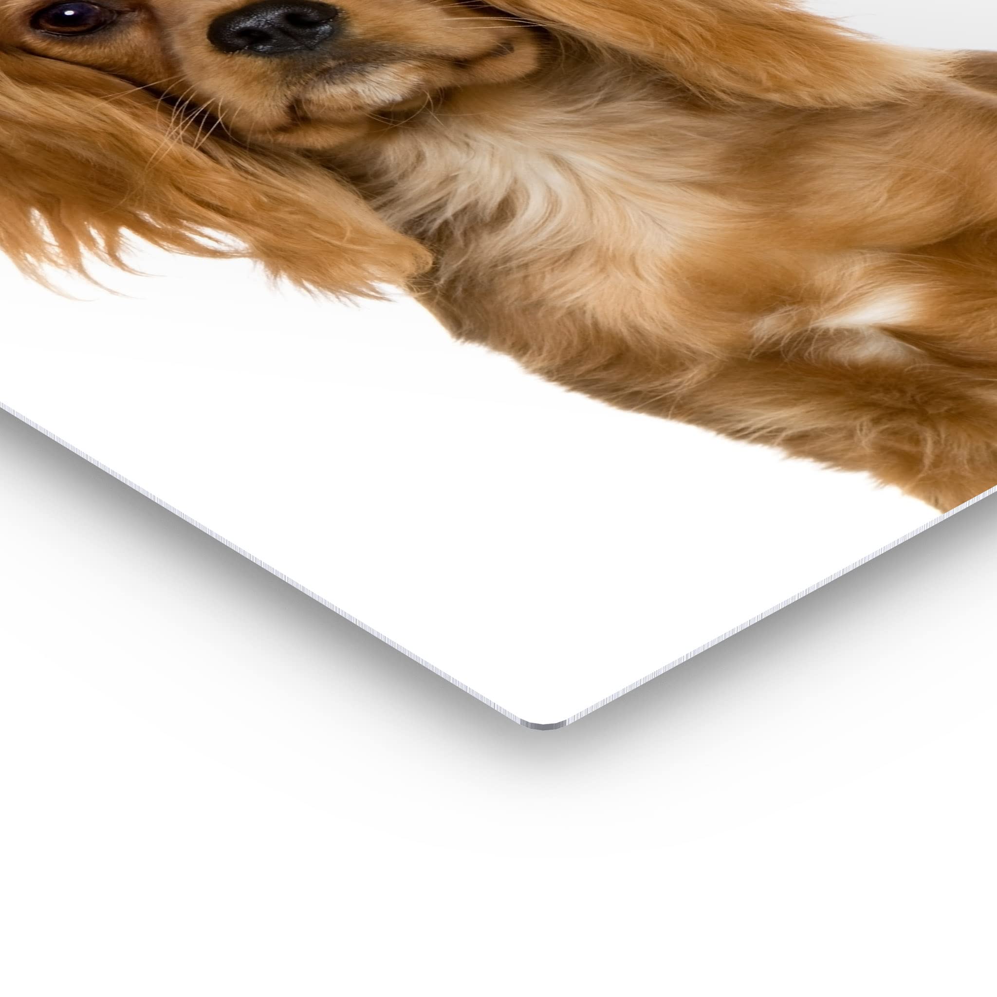 Cavalier King Charles Spaniel Dog Portrait Metal Wall Art - Pet Lover Gift for Mom, Dad, Dog Owners - 40x30 Inch Home Decor for Living Room, Bedroom, Nursery - Made in USA | Perfect for Housewarming, Birthday & Holiday Presents