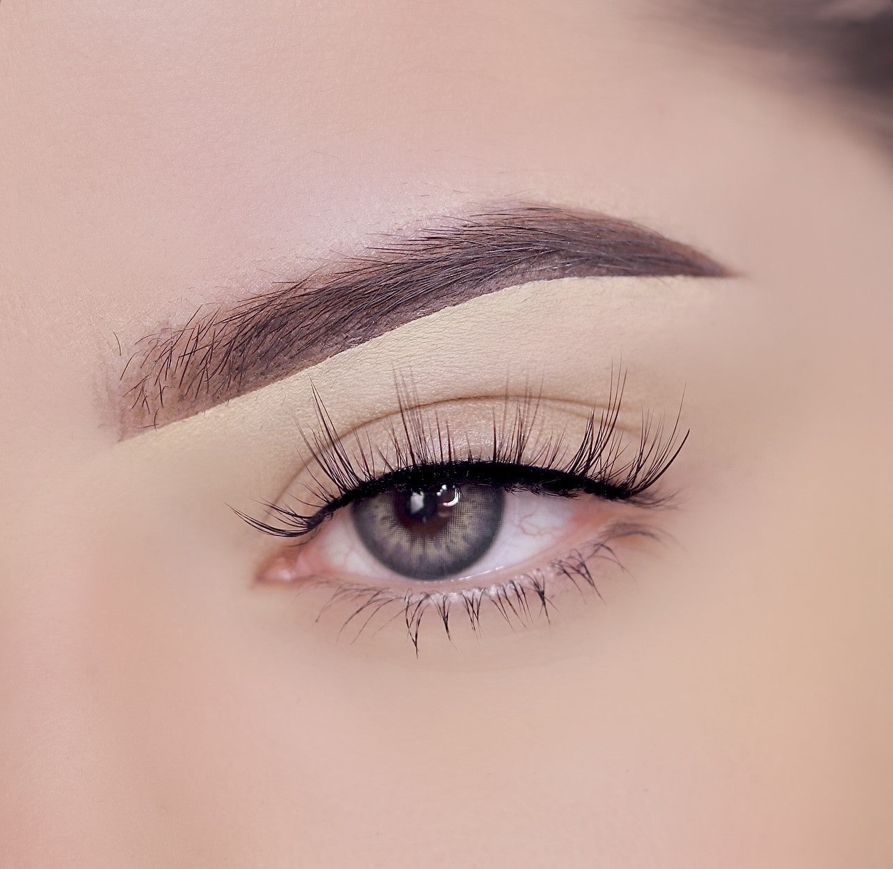 Premium Sandra Faux Mink Lashes - JLash x Luis Torres Vol 3 | Natural Looking False Eyelashes for Dramatic Eye Makeup | Perfect for Parties, Weddings & Special Occasions