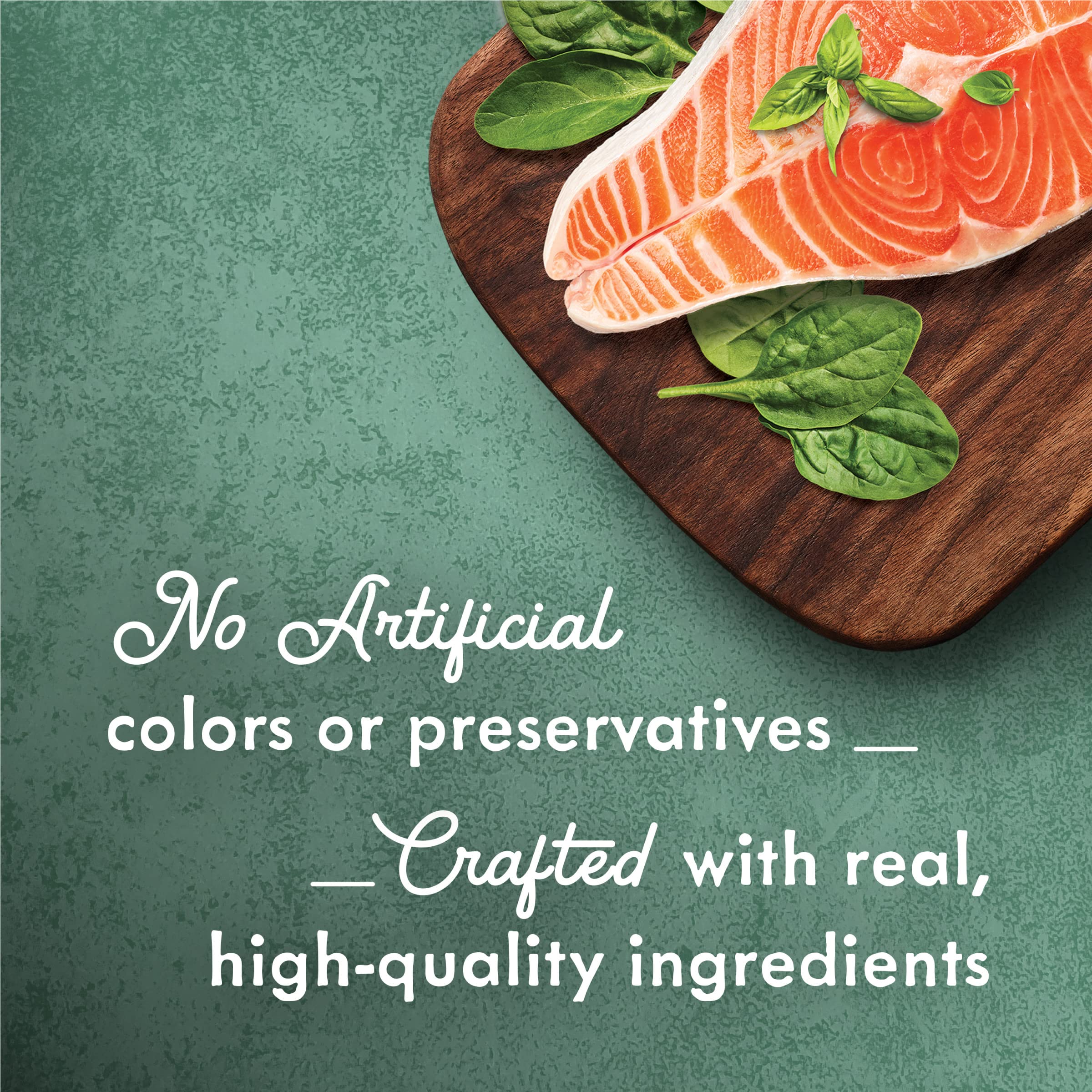 Purina Fancy Feast Wet Cat Food - Wild Salmon & Spinach Medleys in Savory Broth (24 Pack, 3 oz Cans) | High Protein Gourmet Cat Food for Adult Cats | Perfect for Mealtime, Weight Management & Picky Eaters