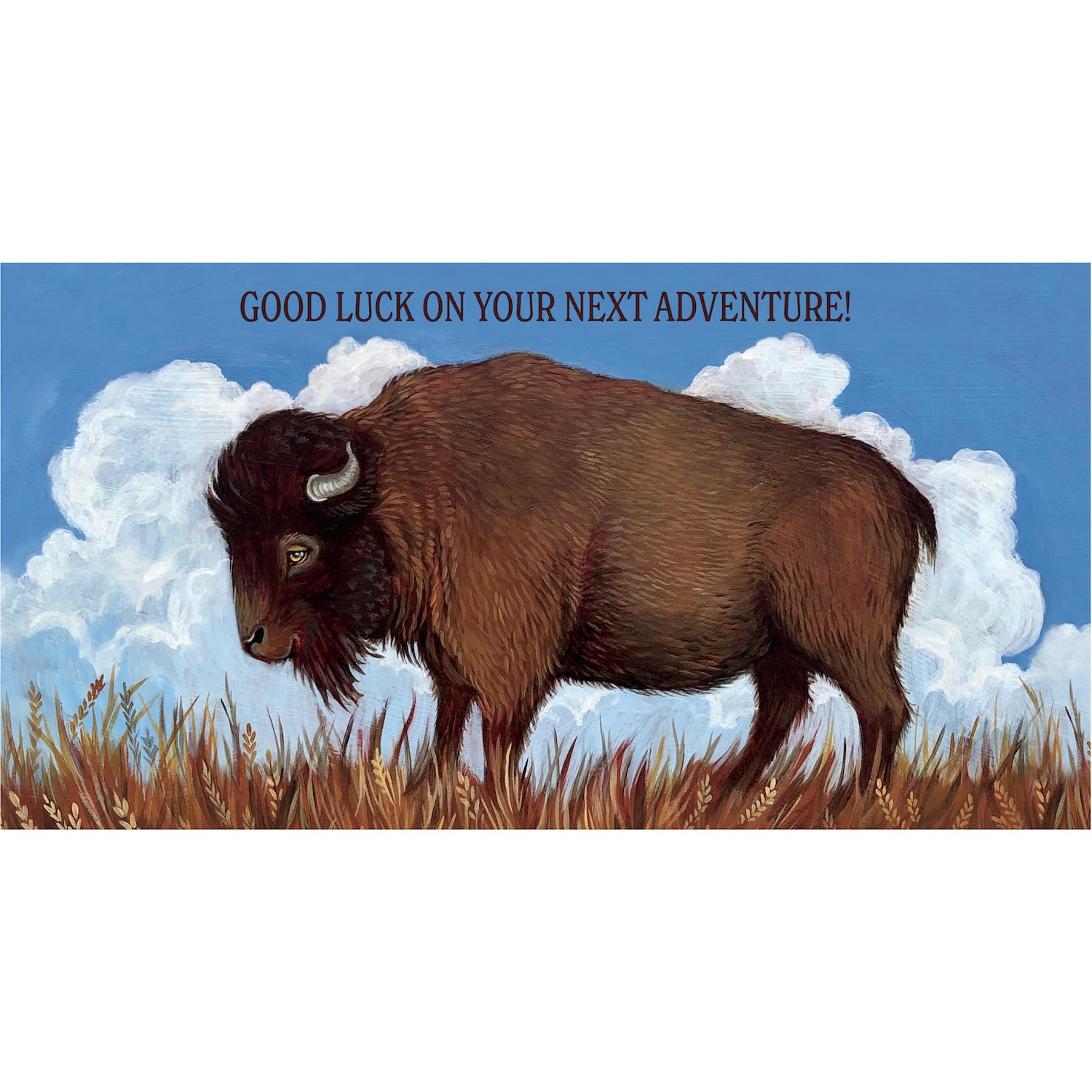 Adventure Buffalo Card - Premium Quality Outdoor Travel Accessories for Hiking, Camping & Backpacking | Perfect for Nature Lovers & Explorers