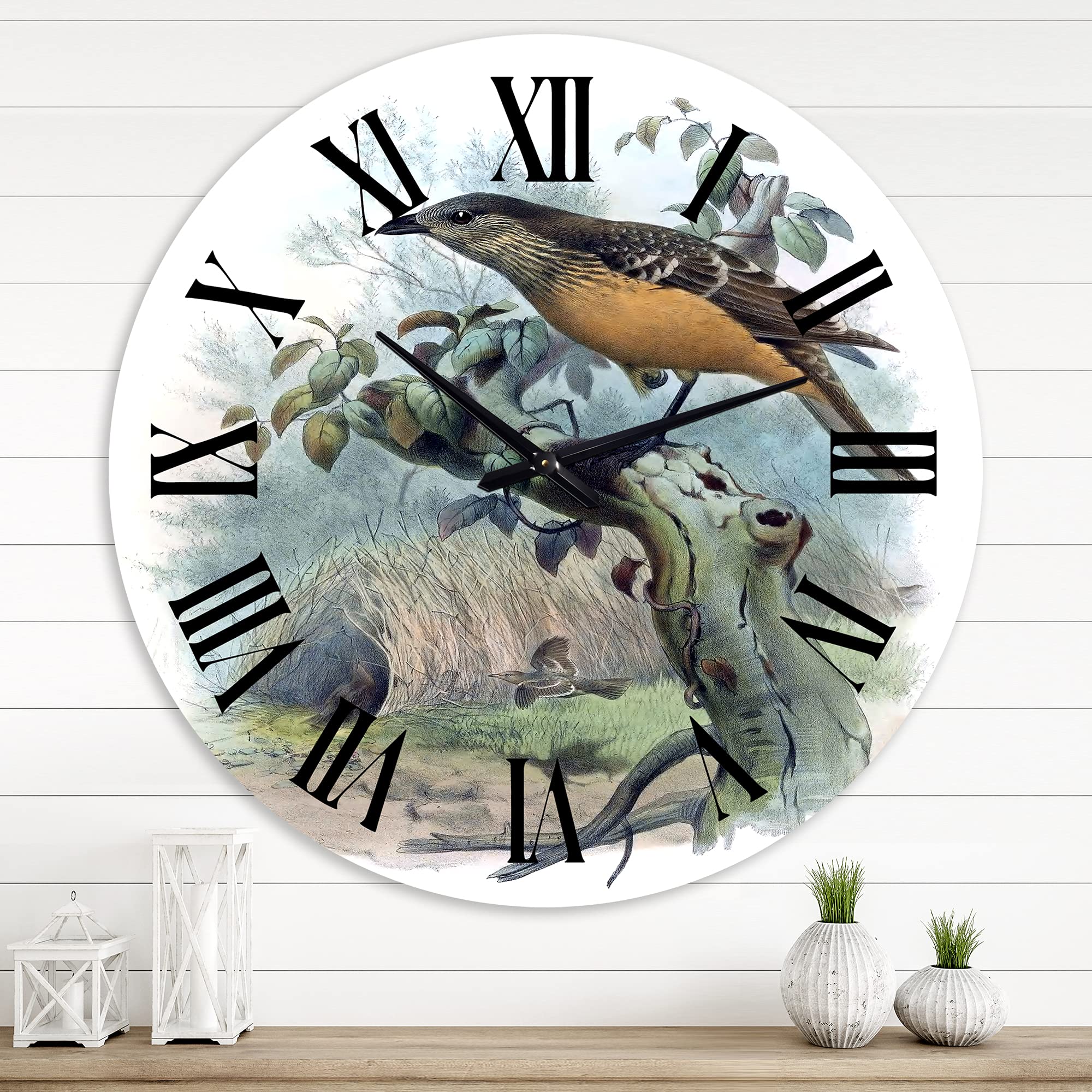 DesignQ Traditional Wall Clock 'A Monograph of The Paradise Birds' - Large Landscape Nature Wall Clock for Living Room, Bedroom & Office Decor - Perfect for Home, Office and Gift Giving