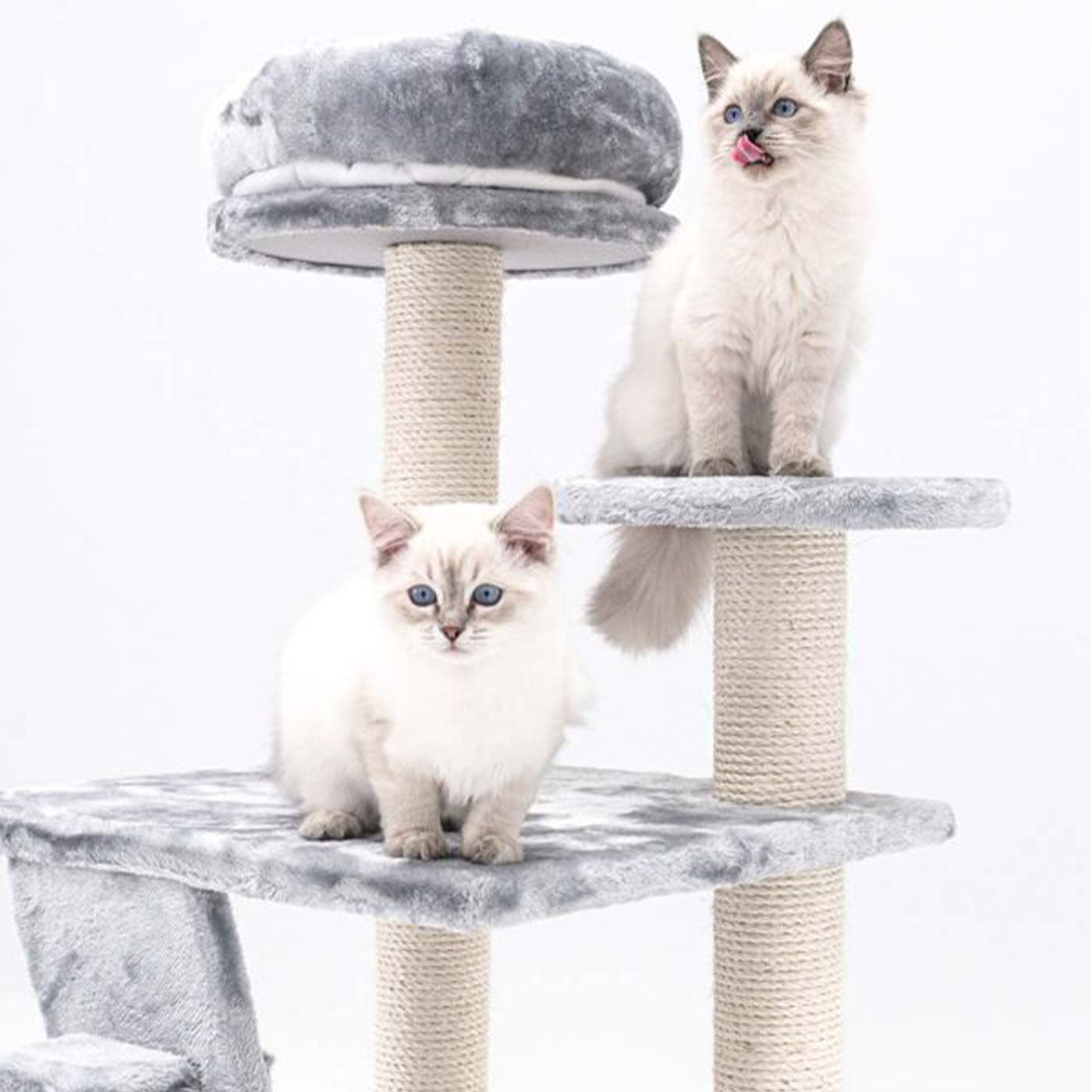 Little Rebels Reno 110cm Cat Tree - Multi-Level Cat Tower with Scratching Posts & Perches for Indoor Cats | Perfect for Play, Rest & Climbing in Small Spaces
