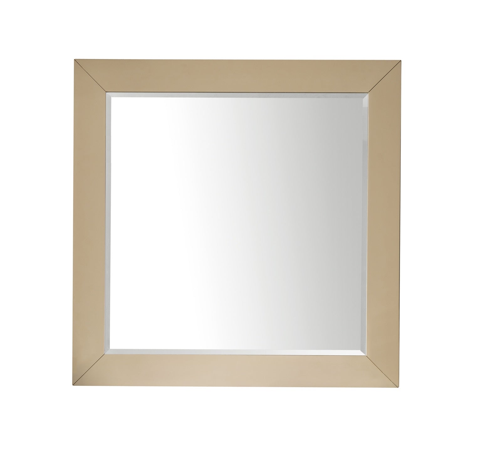 Weston 40-Inch Rectangular Wall Mirror with Seagull Design - Perfect for Living Room, Bedroom, or Bathroom Decor