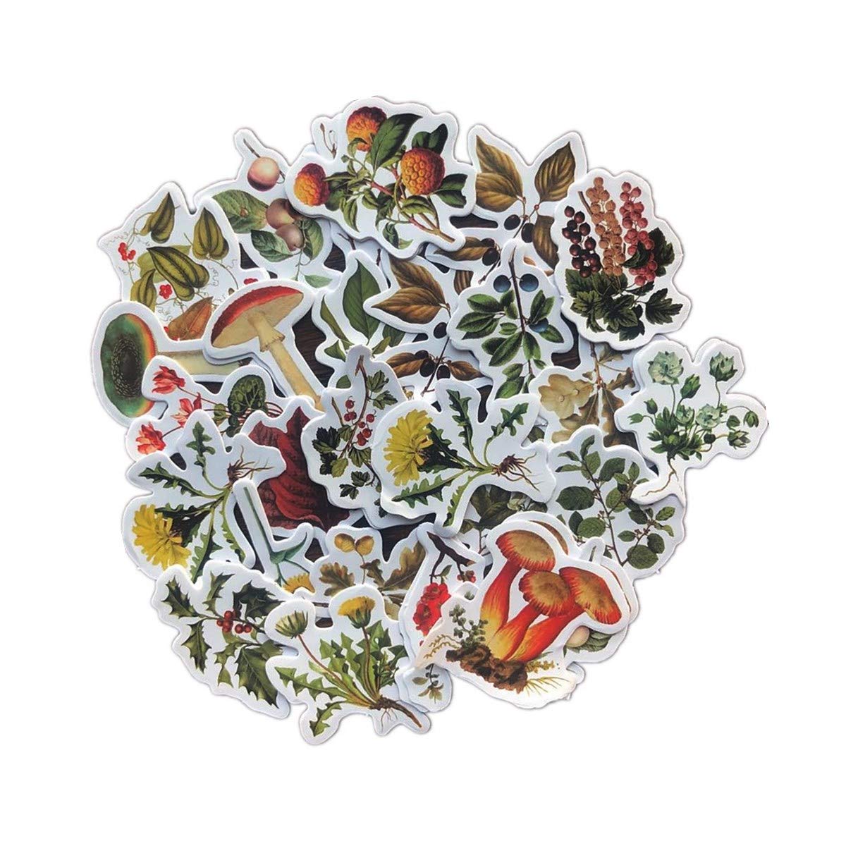 Aesthetic Plant Stickers Set - 92PC Cute Flower & Seasonal Wild Plant Decals for Scrapbooking, Fall Leaves Stickers for Laptop, Phone Case, Kindle, Journal, Planner, DIY Crafts - Perfect for Home Office, School Supplies & Gift Wrapping