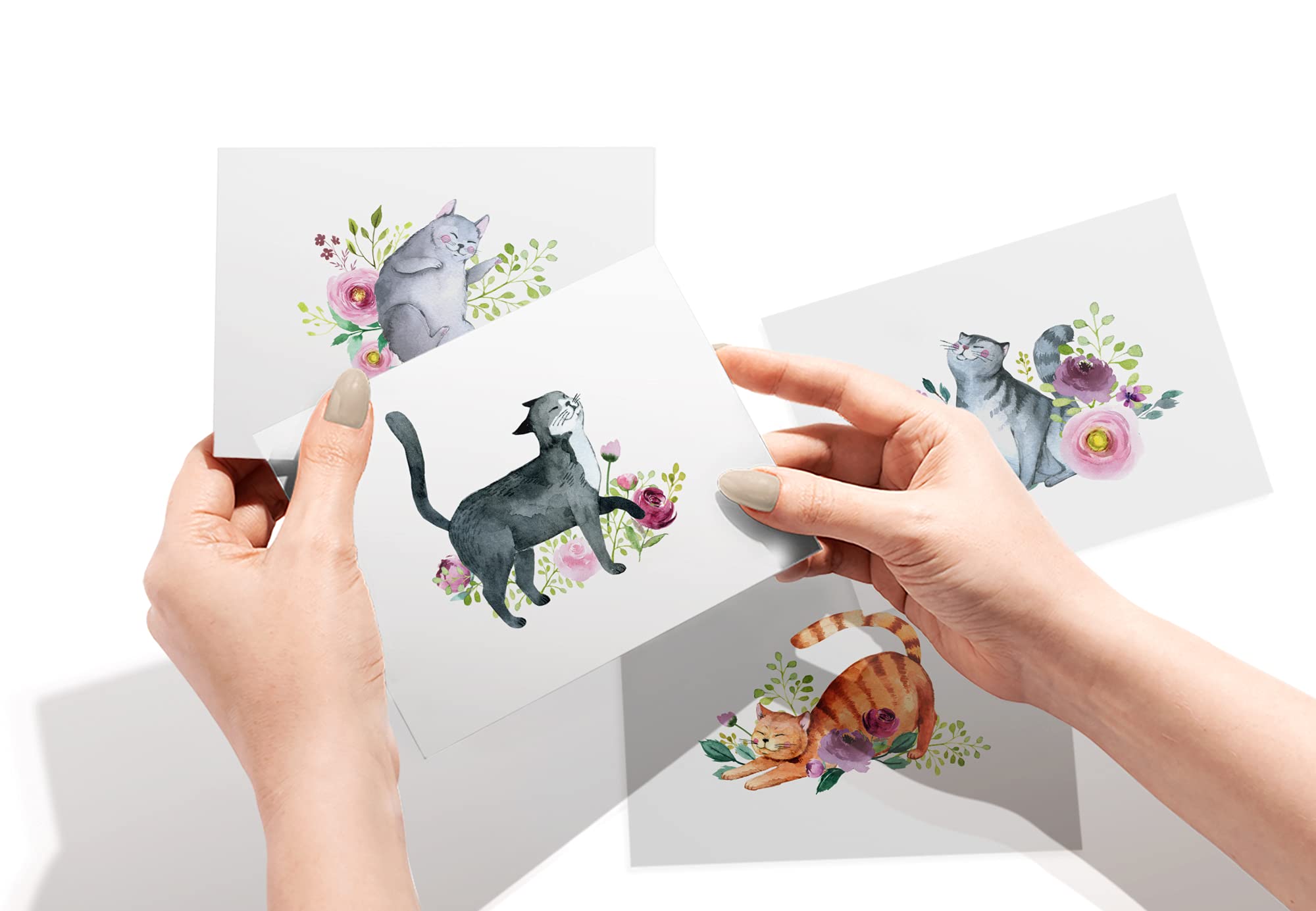 Twigs Paper - 12-Pack Assorted Cat Greeting Cards with Envelopes (5.5x4.25 in) - Blank Note Cards for Thank You, Birthday & All Occasions - USA Made Stationery - Perfect for Cat Lovers, Pet Owners & Handwritten Notes
