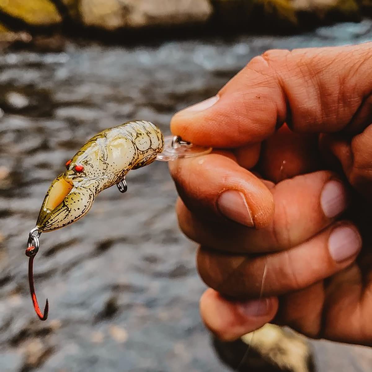 Rebel Lures Pop-R Topwater Popper Fishing Lure - Best Bass & Trout Bait for Freshwater & Saltwater - Perfect for Casting, Trolling & Shore Fishing