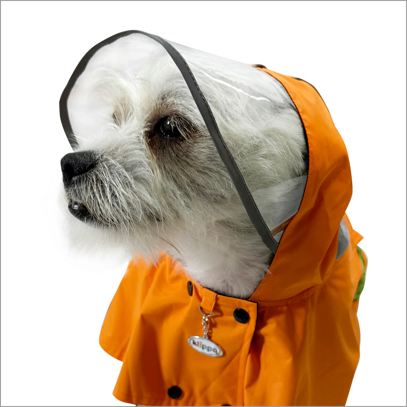 Clear View Poncho Raincoat - Waterproof Orange Rain Poncho for Outdoor Activities, Camping, Hiking & Festivals